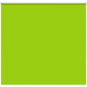 vidaXL Verduisteringsgordijn, groen, 145x150 cm, stofbreedte 141,6 cm, polyester