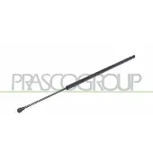 PRASCO DA7309055 Gasveer achterklep