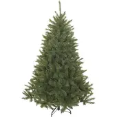 Triumph tree Forest Frosted Bristlecone Fir Green 230