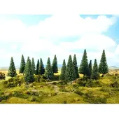 Noch 0024640 Set bomen Zilverspar 100 tot 140 mm 8 stuk(s)