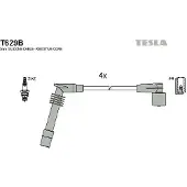 Tesla T629B Bougiekabels