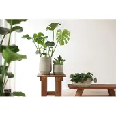 HS Potterie Delhi bloempot keramiek 24x22cm groen