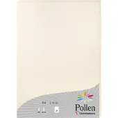 Pollen Etui de 25 feuilles A4 Ivoire Irisé 210g