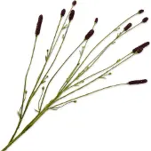Silk-ka Kunstbloem Pimpernel Bruin H 84 Cm