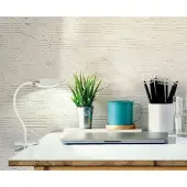 FISCHER&HONSEL GMBH Flexibele bureaulamp Luiz met klem