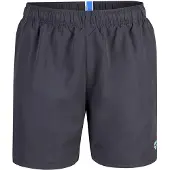 Arena Boardshorts 'FUNDAMENTALS BOXER R' blauw / antraciet