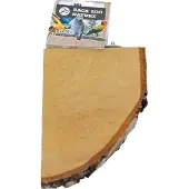 Back Zoo Nature Wood Slice