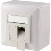 Digitus aansluitdoos Cat.6A (diep) - 2 x RJ45 - afgeschermd