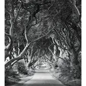 Overig Forevenue Fotobehang - Zwart - 2,80m X 250cm
