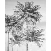 Overig Coco Fotobehang - Grijs - 2,50m X 200cm