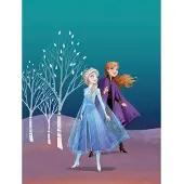 Komar Poster Frozen Zussen 30 X 40 Cm