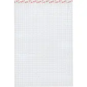 Elco Schrijfblok A4 Geruit Gelijmd Wit Geperforeerd 200 Pagina's 10 Stuks à 100 Vellen