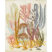 Komar Fotobehang Catchy Corals - Meerkleurig - 2,50m X 200cm