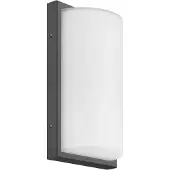 LCD Wandlamp buiten met bewegingssensor 039, zwart, Glas, Modern
