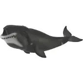 Collecta Grönlandwal-Figur (004-88652)