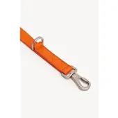DOGGUO & Loavies Hondenriem EMB-LEASH-ORANGE-M