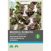 Intratuin Groentezaad Boerenkoolspruitjes Mix (Kalettes)