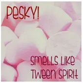 Cd Smells Like Tween Spirit