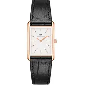 Daniel Wellington - DW00100698 - Horloge met armband - Uni - Quartz - BOUND