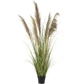 Jline Pampas gras 5 koppen in pot pvc groen/beige small