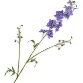 Silk-ka Kunstbloem Ridderspoor Blauwpaars H 101 Cm