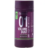 Salerm Cosmetics Volume Dust Matifying 10g Stylingpoeder