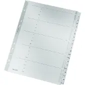 Leitz Register Karton