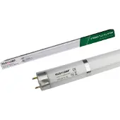 Insect-O-Cutor PlusLamp 15W, uv-lamp voor Gen 3 PlusZap 30W, vervanglamp 368 nm uv-golflengte, 8000 uur levensduur, uv-vliegenlamp voor binnen, reservelamp elektrische vliegenvanger, vliegenverdelger