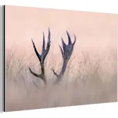MuchoWow Aluminium schilderij 180x120 cm - Wanddecoratie metaal - Gewei - Hert - Gras - Natuur - Metalen muurdecoratie woonkamer - Decoratie industrieel - Foto op dibond - Industriële accessoires slaapkamer