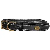 Dyon Fancy Hondenhalsband