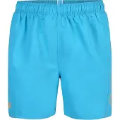 Arena Boardshorts 'FUNDAMENTALS LOGO BOXER' blauw / grijs