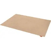 4 Seasons Outdoor Buitenkleed 200x290 cm dust