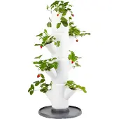 Gusta Garden SISSI STRAWBERRY Zelfbewaterende Starter Planter 4 Lagen, Wit