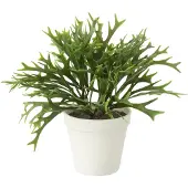J-Line Platycerium bifurcatum in pot kunstmatig groen