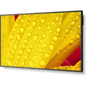 Sharp Zakelijke monitor Sharp/NEC MultiSync M501-2, 50", 3840 x 2160 px, LCD-paneel, HDMI/ DisplayPort/USB/LAN, 2 x 10 W, continubedrijf, zwart