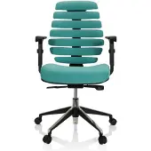 Schaffenburg Ergonomische bureaustoel 101 model Ruggengraatstoel in Turquoise