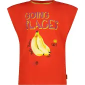Vingino T-shirt rood Meisjes Katoen Ronde hals Printopdruk - maat 176