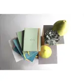 Rhodia Notitieboek Rhodia A5 lijn 80 vel 90gr celadon