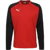 Puma Functioneel shirt 'Team Liga' rood / zwart