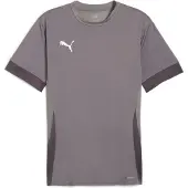 Puma Trainingsshirt teamGOAL - Grijs/Wit