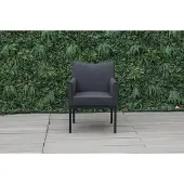 CLEMENTO Lyon dining tuinstoel vier poten aluminium/sunbrella 2 stuks