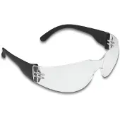 DeLOCK Safety Glasses with temples clear lenses