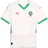 Puma Tricot 'Marokko 2025' grasgroen / donkerrood / wit