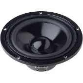 Visaton W 170 S - 8 Ohm 6.7 inch 17 cm Woofer 50 W 8 Ω