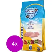 Renske 4x Super Premium Graanvrij Adult Hondenvoer Kip 2 kg