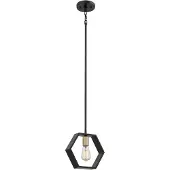 QUOIZEL LED Hanglamp Bismarck | 1X E27 Max 60W | Dimbaar | Earth Black