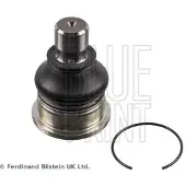 Blue Print ADBP860066 Fuseekogel
