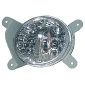 Diederichs 6552089 Mistlamp