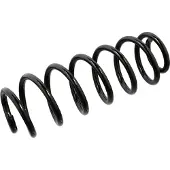 FEBI BILSTEIN Spiraalveer 104733
