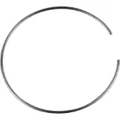 Bbs PFS Retaining Clip - 70mm